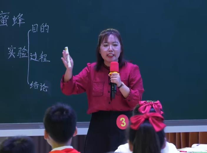 宿彩霞，《蜜蜂》，三年級下冊，第四單位